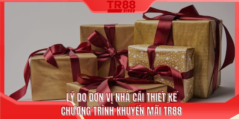 Lý do đơn vị nhà cái thiết kế chương trình khuyến mãi TR88